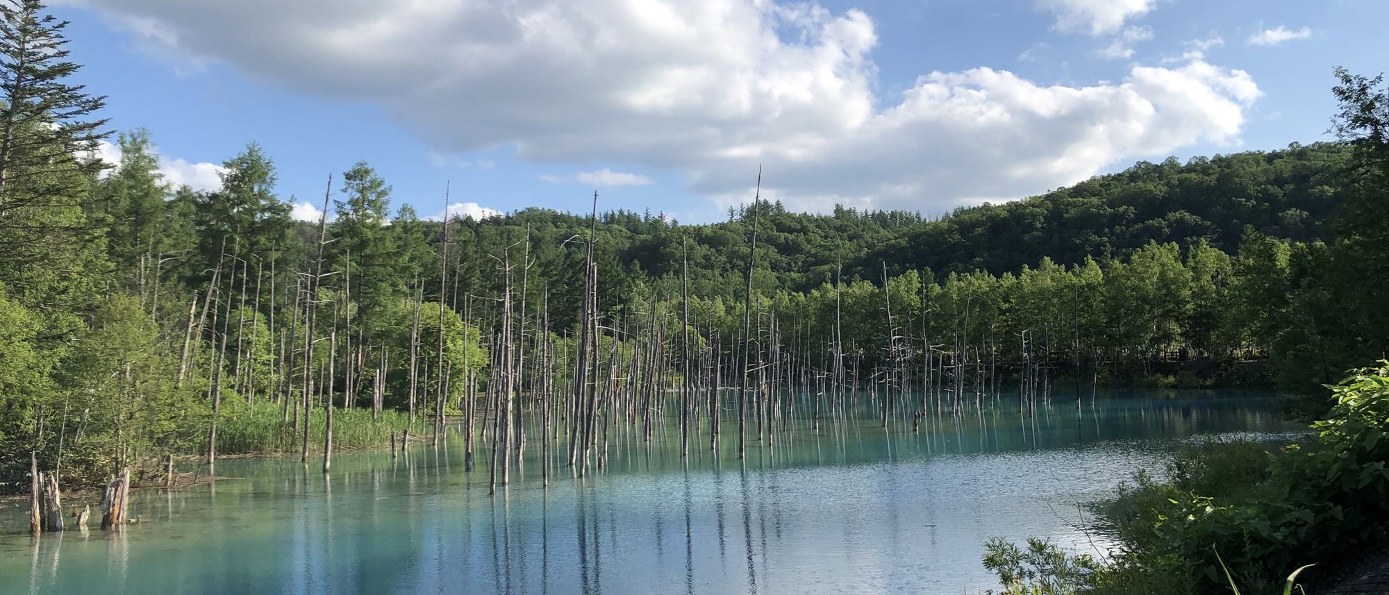 森に囲まれた青く澄んだ水面と、その上に広がる夏の空