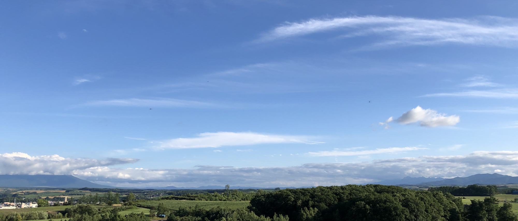 遠く山並みまで続く牧草地と、大きく広がる青空