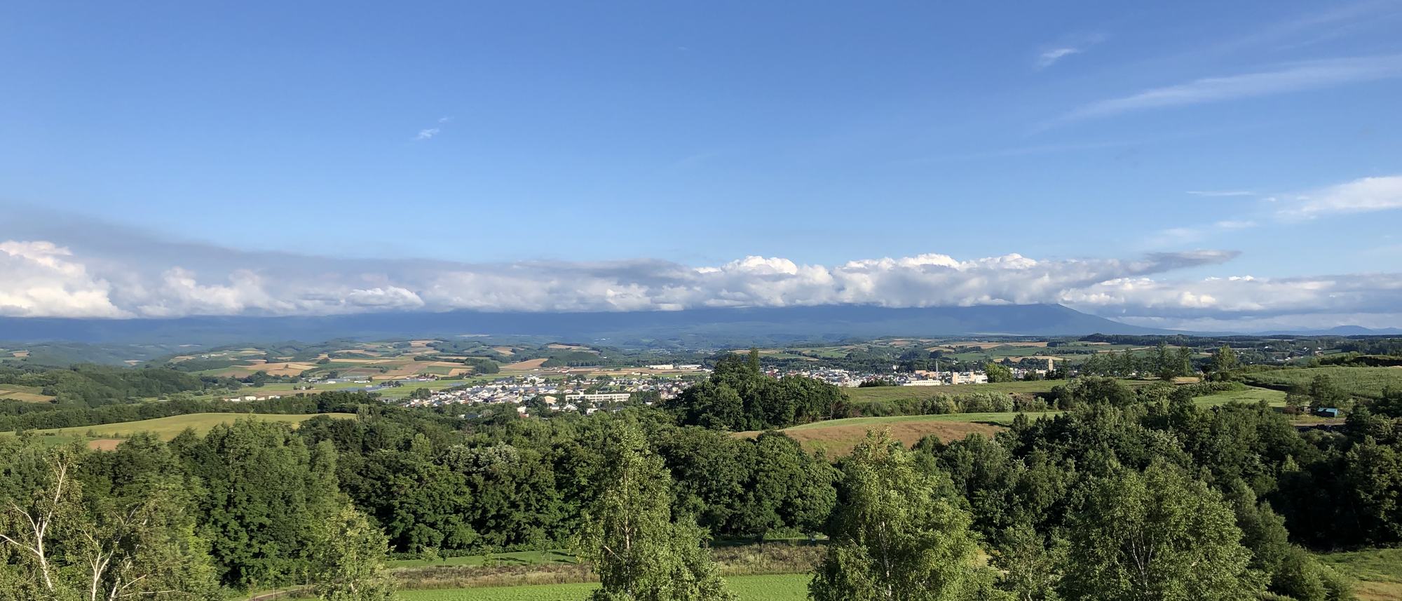 丘の上から見渡す畑と森、遠くに連なる山並み